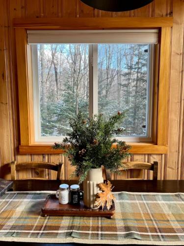 a table with a christmas tree in a room with a window at Cozy Chalet at Jay Peak in Montgomery Center