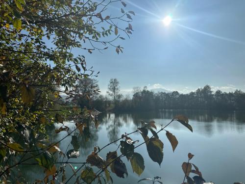a view of a lake from a tree branch at Achentaler Alpentor in Marquartstein