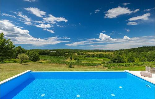 een blauw zwembad met uitzicht op een wijngaard bij Villa Pilati in Poreč