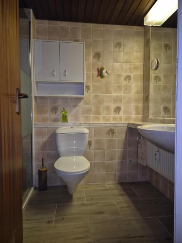 a bathroom with a white toilet and a sink at Dagmar's vakantieappartement in Winterberg in Winterberg