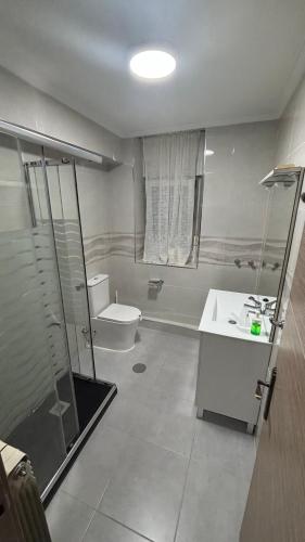 a bathroom with a toilet and a sink and a shower at Rural El Bosque in Entrambasaguas