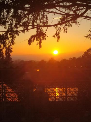 a sunset seen through the branches of a tree at La casa nel Monferrato "LA CONTENTËSSA" in Asti