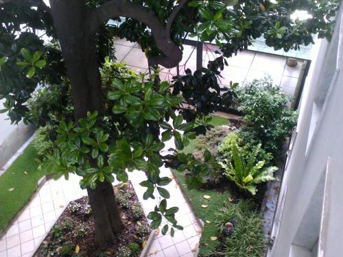 an indoor garden with a tree and plants at Pràti Home in Rome