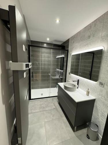 une salle de bain avec un lavabo, une douche et un miroir dans l'établissement Maison moderne au calme à Gannat, à Gannat