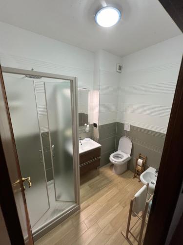 a bathroom with a shower and a toilet and a sink at Casa Pruno Rosso in Montemerano