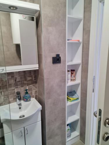 ズラティボールにあるZlatibor Zlatni danの洗面台と鏡のあるバスルーム