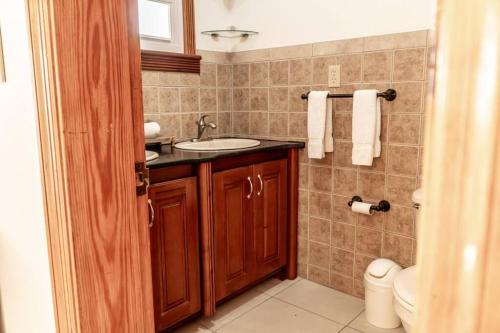 a bathroom with a sink and a toilet at Mont Vernon Villas in Cul de Sac