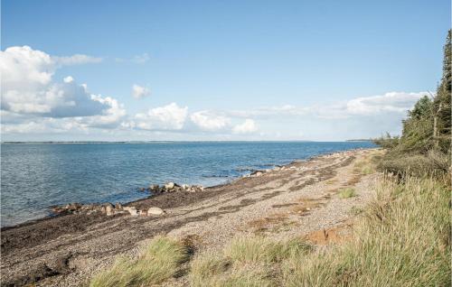 a group of animals laying on a beach near the water at Stunning Home In Spøttrup With Sauna in Vadum