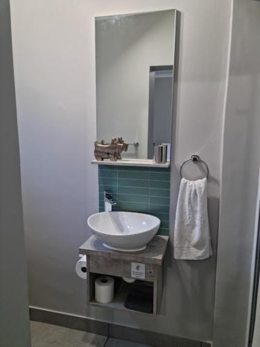 a bathroom with a white sink and a mirror at Jasmine Cottage in George