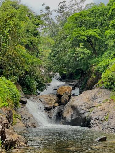 a waterfall in a river with rocks and trees at Wetlands Wayanad Pool Resort with Natural Waterfalls in Padinjarathara