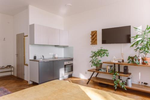 Η κουζίνα ή μικρή κουζίνα στο Urban lifestyle Brno