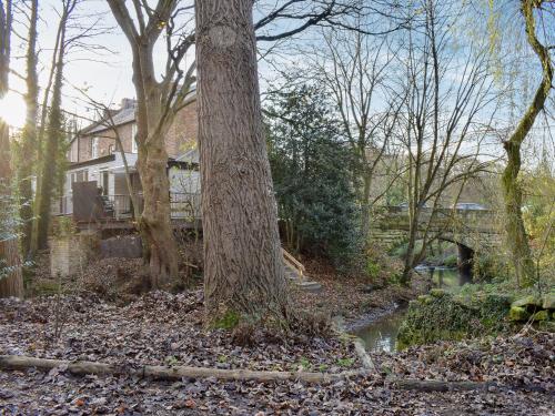 a group of trees with a house in the background at Bridge House in Loftus