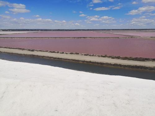 Photo de la galerie de l'établissement Face aux flamants, grande maison de famille, à Saintes-Maries-de-la-Mer