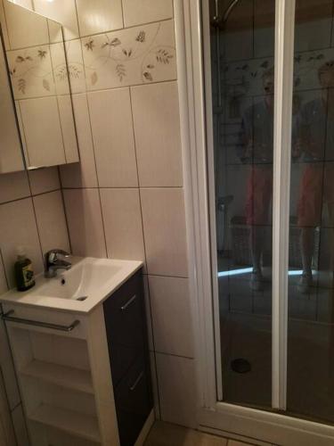 une salle de bain avec un lavabo et une douche dans l'établissement Appart 4 chambres - Centre Lélex, à Lélex