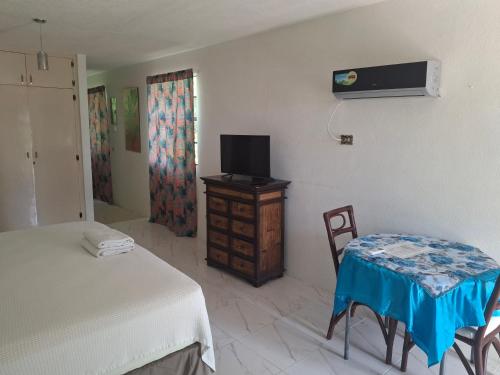 a bedroom with a bed and a table and a tv at Ocean View Apartments By-BLR in Bridgetown