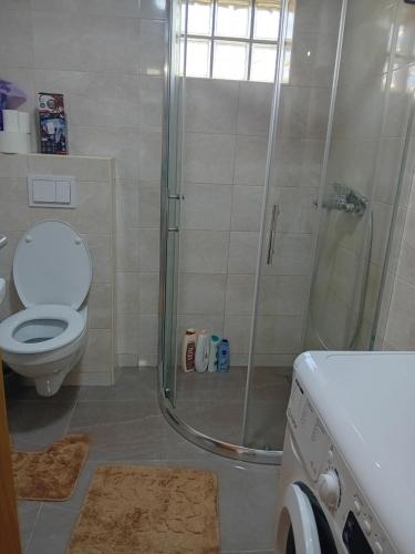 a bathroom with a shower and a toilet at Aura Trebinje 2 in Trebinje