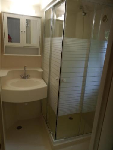 une salle de bain avec un lavabo et une douche en verre dans l'établissement Chalet N 22, à Le Mas