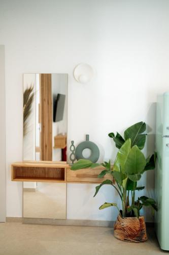 a potted plant sitting next to a desk with a mirror at Magnolia Villas Potos Thassos in Potos