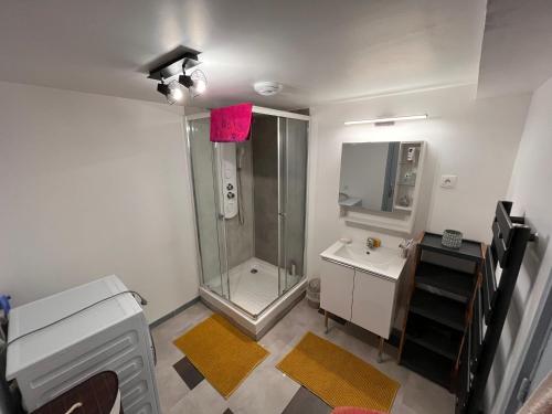 une salle de bain avec douche et lavabo dans l'établissement Duplex La Bourboule, à La Bourboule