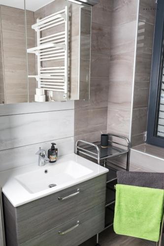 a bathroom with a sink and a mirror at Meloria Apartments in Veržej