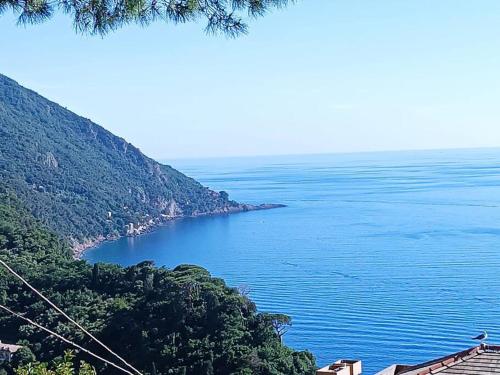 a view of a large body of water with trees at Due Rose in Recco
