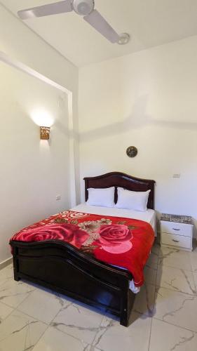 a bedroom with a bed with a red blanket at Yasmine Guest House in Luxor