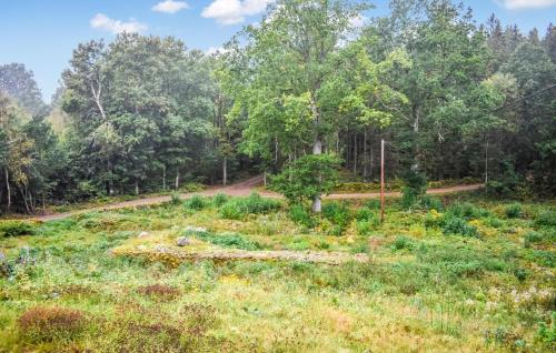 a field of grass with trees in the background at 3 Bedroom Nice Home In Tving in Tving