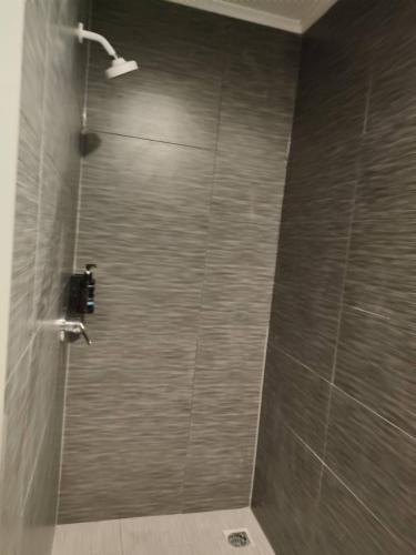 a bathroom with a shower with gray tiles at 2 Double Bed including 1 double sofa bed Studio at Epsom in Auckland