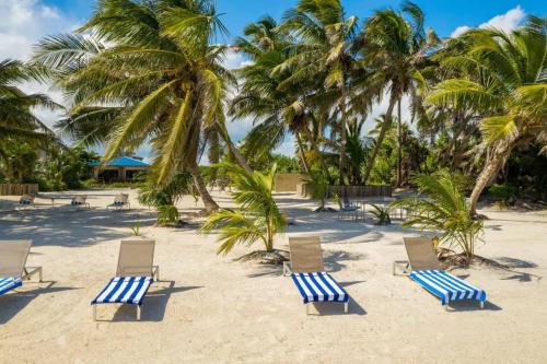 a group of chairs and palm trees on a beach at Special Offer Oceanfront Private Estate By Alom in San Pedro