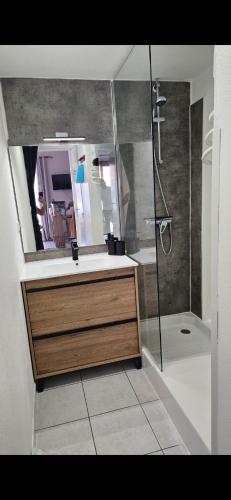 une salle de bain avec un lavabo et une douche avec un miroir dans l'établissement Maison en bord de mer, au Barcarès