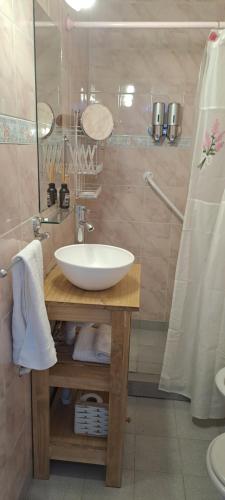 a bathroom with a sink and a shower at La Casa de Marite Apart, un lugar para disfrutar in El Calafate