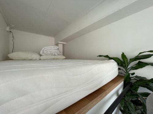 a white bed in a room with a plant at Scheepmakershaven in Schoonhoven