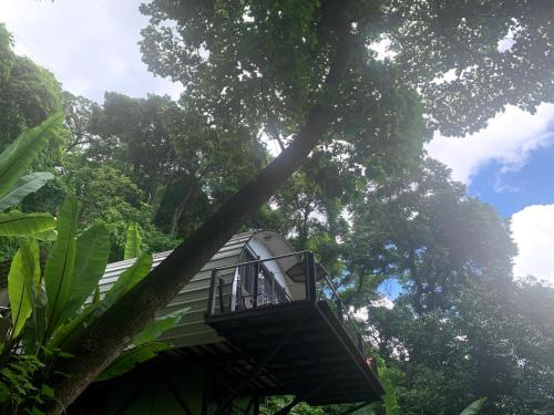 a cage hanging from a tree in front of a house at Finca El Tambor Nature Reserve, Lodging and Tours in Antigua Guatemala