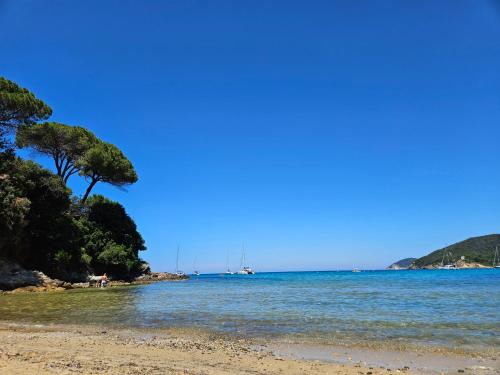 a beach with trees and the ocean on a clear day at VILLA VILLACOLLE in Procchio