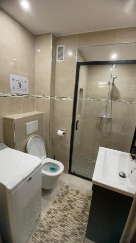 une salle de bain avec une douche, des toilettes et un lavabo dans l'établissement Charmant Studio - Centre ville de Cannes, à Cannes