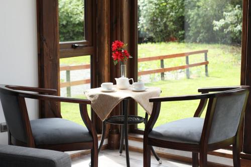 Zahrada ubytování Entre Volcanes Lodge