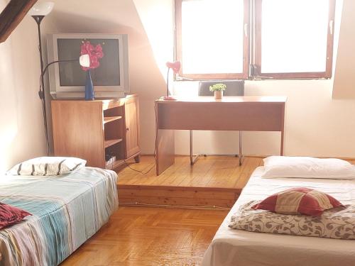Hakuna Matata - Room in Budapest - Near Buda Castle, Parliament and Margaret Island