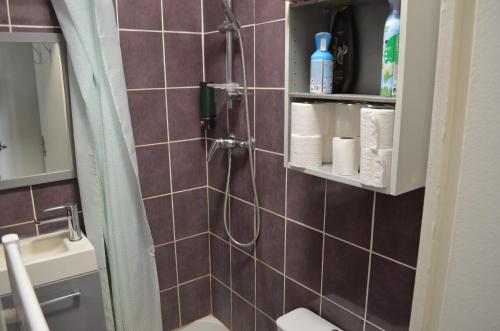 une salle de bain avec une douche avec des toilettes et un lavabo dans l'établissement Studio Paris 18, à Paris
