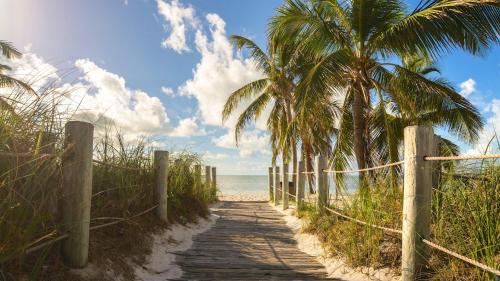 a path to the beach with palm trees and the ocean at Conch in the Treetops by Last Key Realty in Key West