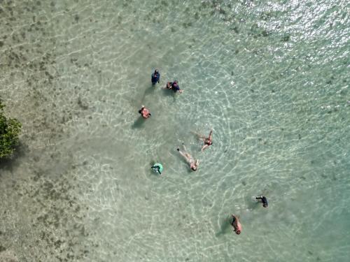 a group of people swimming in the water at VILLA CAPACITE 6 PERSONNES PROCHE PLAGES DU Sud in Rivière-Pilote