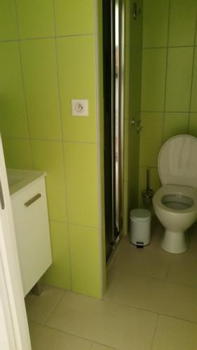 La salle de bains est pourvue de toilettes et de murs verts. dans l'établissement Studette Roseaux, à Balaruc-le-Vieux