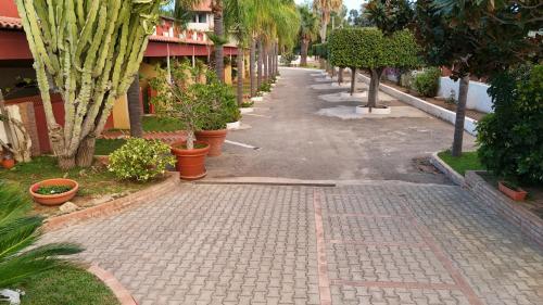 a cobblestone street with palm trees and plants at Residence Hotel Felix in Ricadi