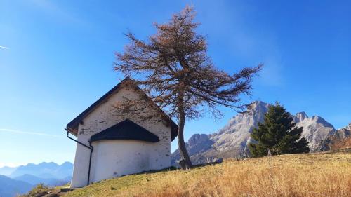 a small house on a hill with a tree at CAMPO BASE CADORE con parcheggio auto e garage moto in Valle di Cadore