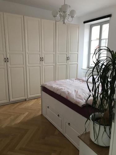 a bedroom with a bed with white cabinets and a plant at Apartments Obergraben in Dresden