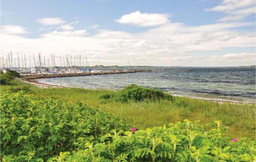 a marina with manyocked boats on the water at Marina Minde in Rendbjerg