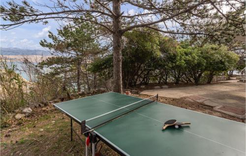 Cozy Apartment In Novalja With Wifi