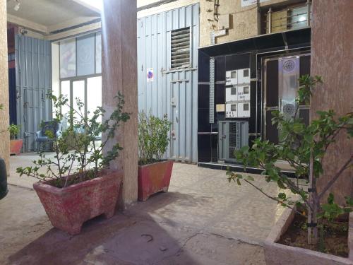 a room with potted plants on the side of a building at Apartamentos Nassiri in Laayoune