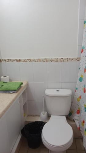 a white bathroom with a toilet and a sink at don federico tome in Tomé