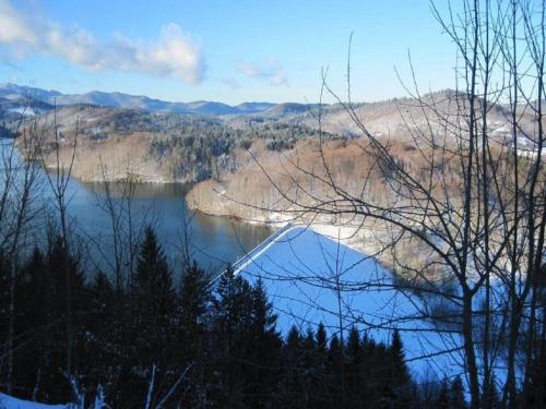 a view of a river with trees and mountains at Apartments Dar in Lokve