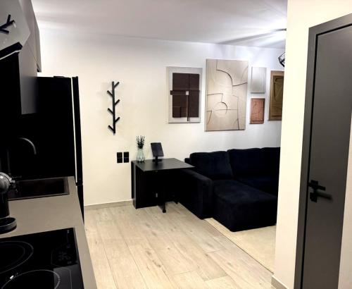 Modern Apartment with Free Parking and 300Mbps Internet